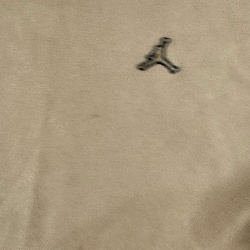 Jordan hoodie mens